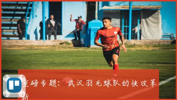 重磅专题：武汉羽毛球队的快攻革新