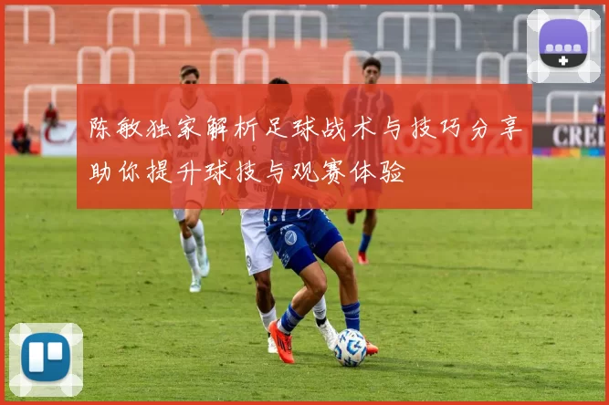 陈敏独家解析足球战术与技巧分享助你提升球技与观赛体验