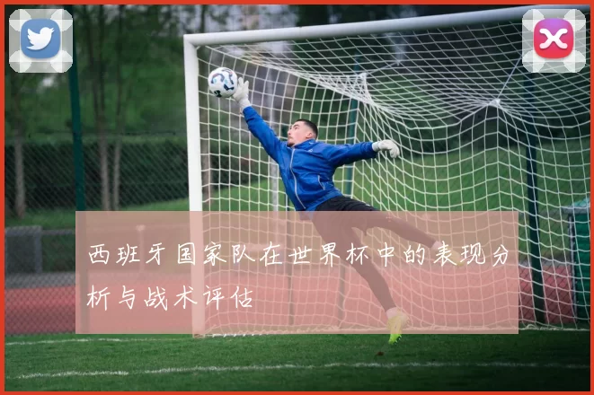 西班牙国家队在世界杯中的表现分析与战术评估