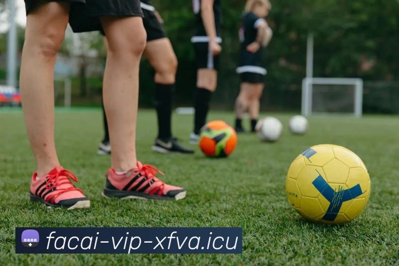 App Interface Preview